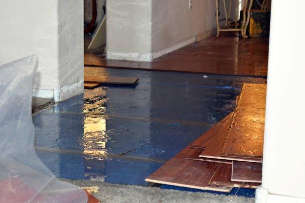 Professional Basement Flood Cleanup technician working in Framingham, MA